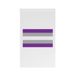 Grey Asexuality Flag House Banner