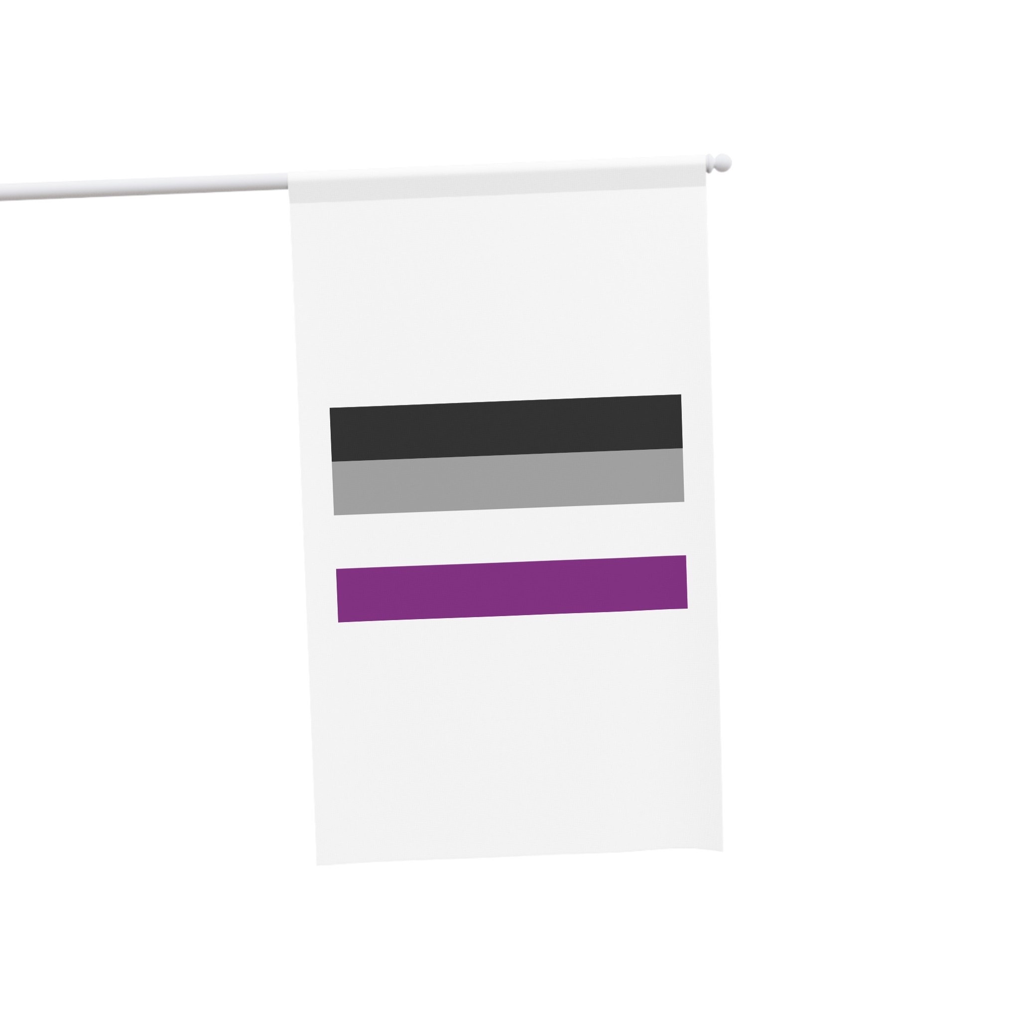 Asexual Pride Flag House Banner - Image 3