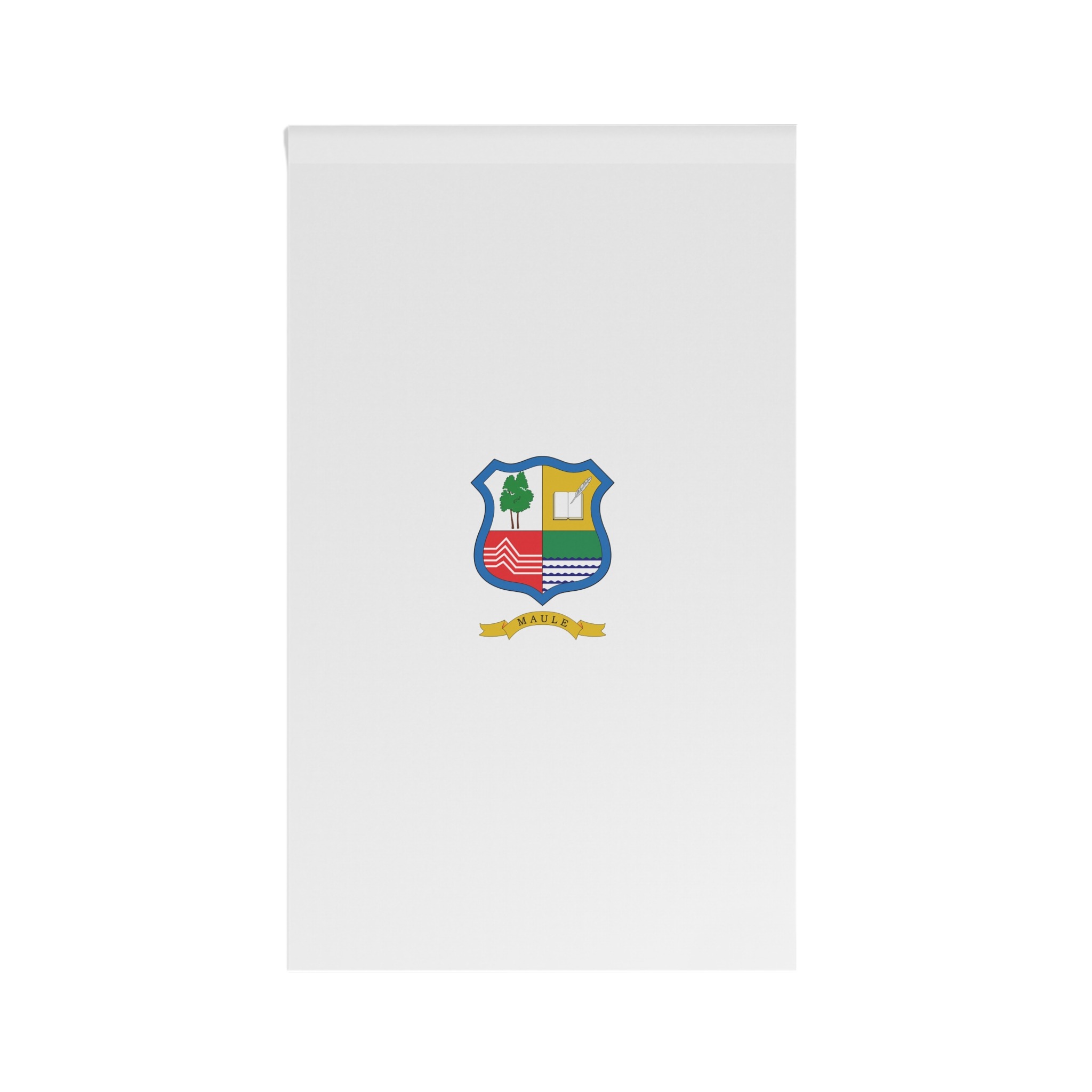 Flag of Maule, Chile House Banner - Image 2