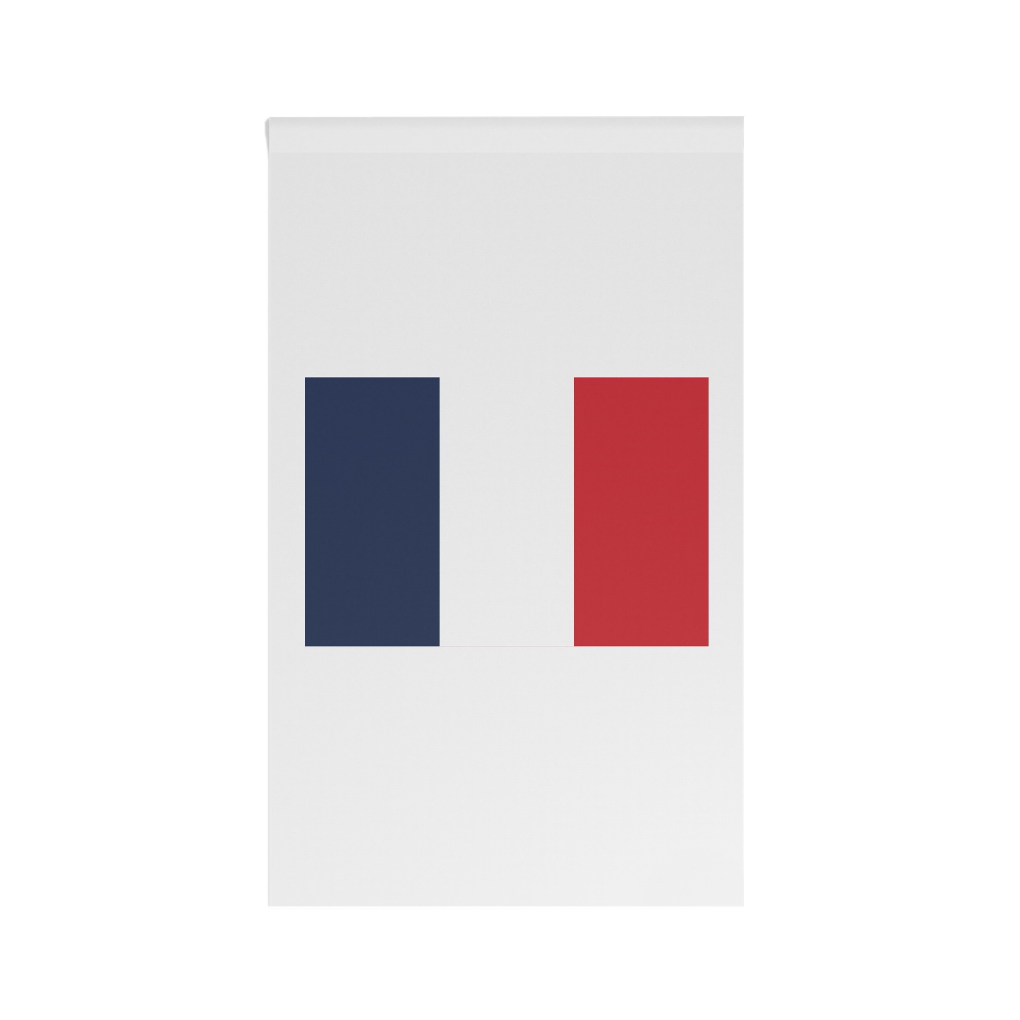 Flag of France House Banner - Image 2