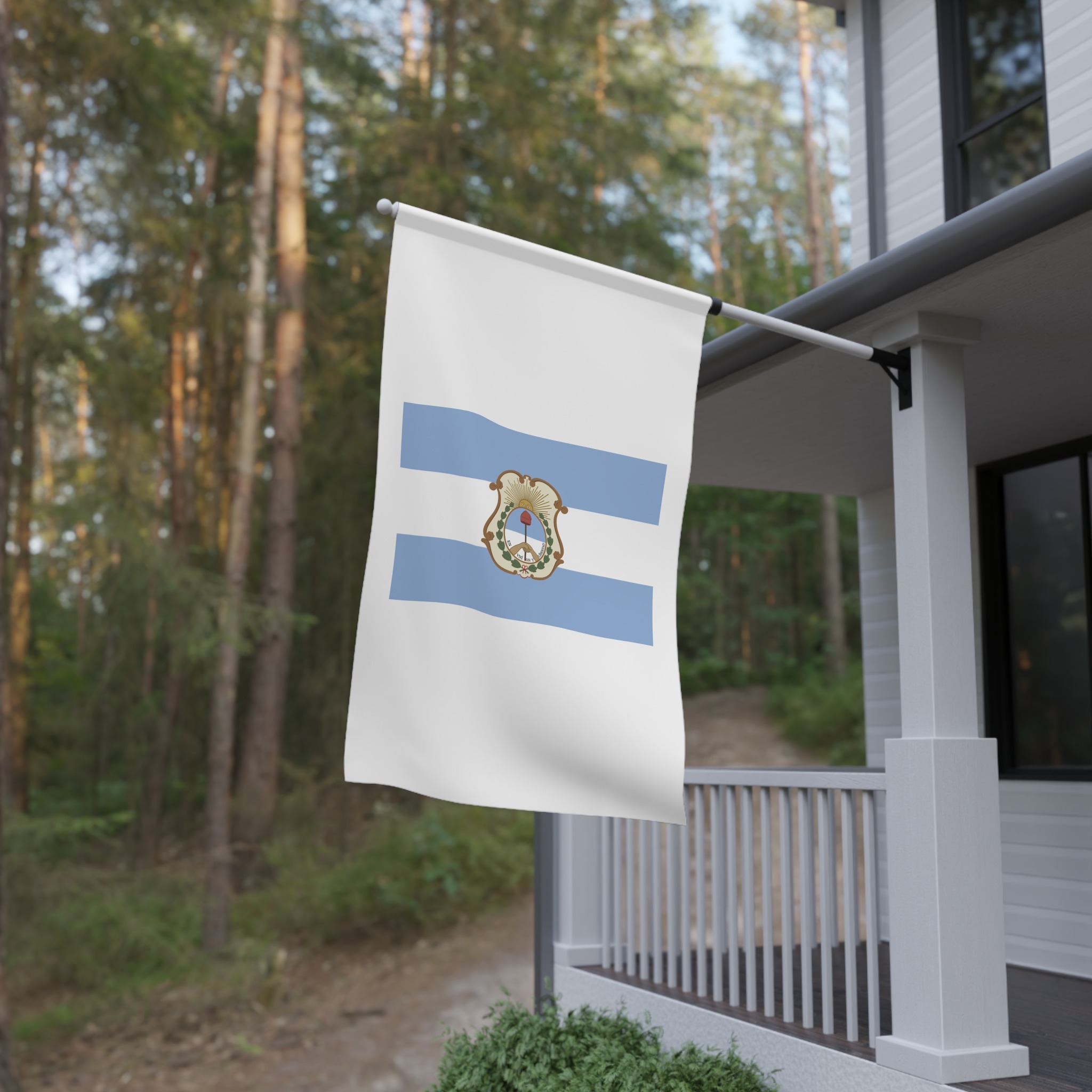 Flag of the San Juan Province House Banner - Image 4