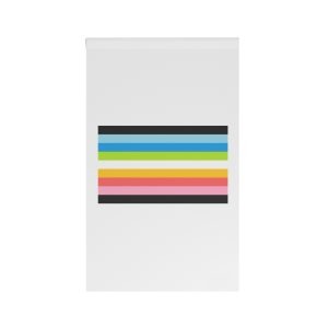 Queer Flag House Banner