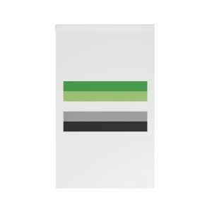 Aromantic Pride Flag House Banner