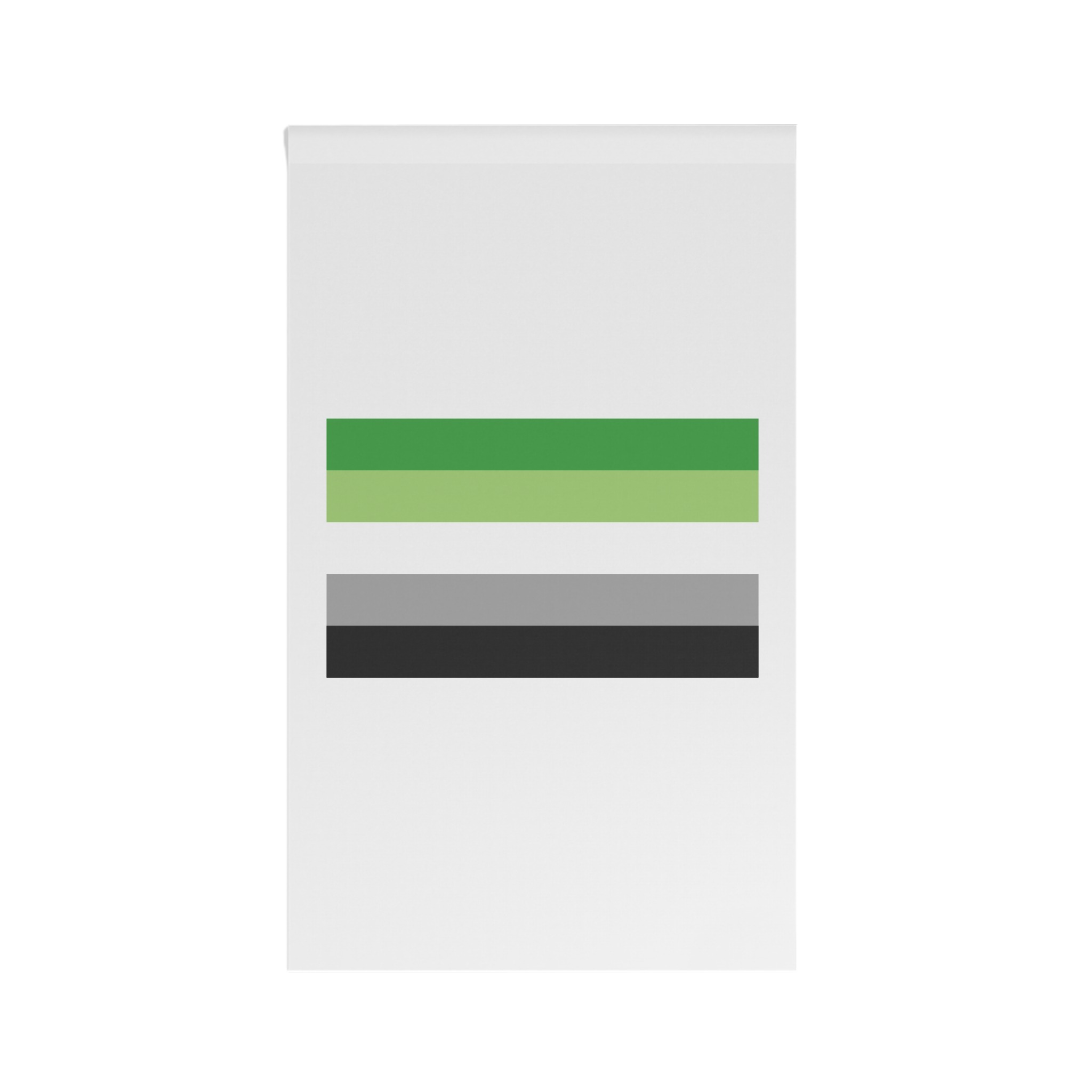 Aromantic Pride Flag House Banner