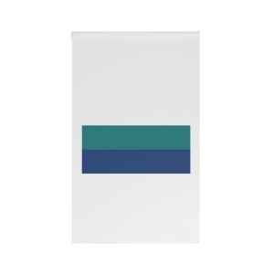 Flag of Ñeembucú Department House Banner