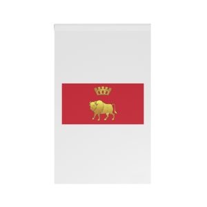 Flag of Hrodna Voblasts House Banner