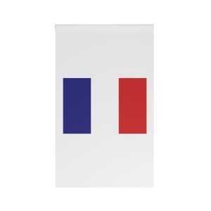 Flag of Somoto House Banner
