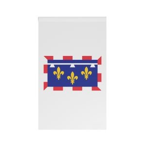 Flag of Centre Val de Loire House Banner