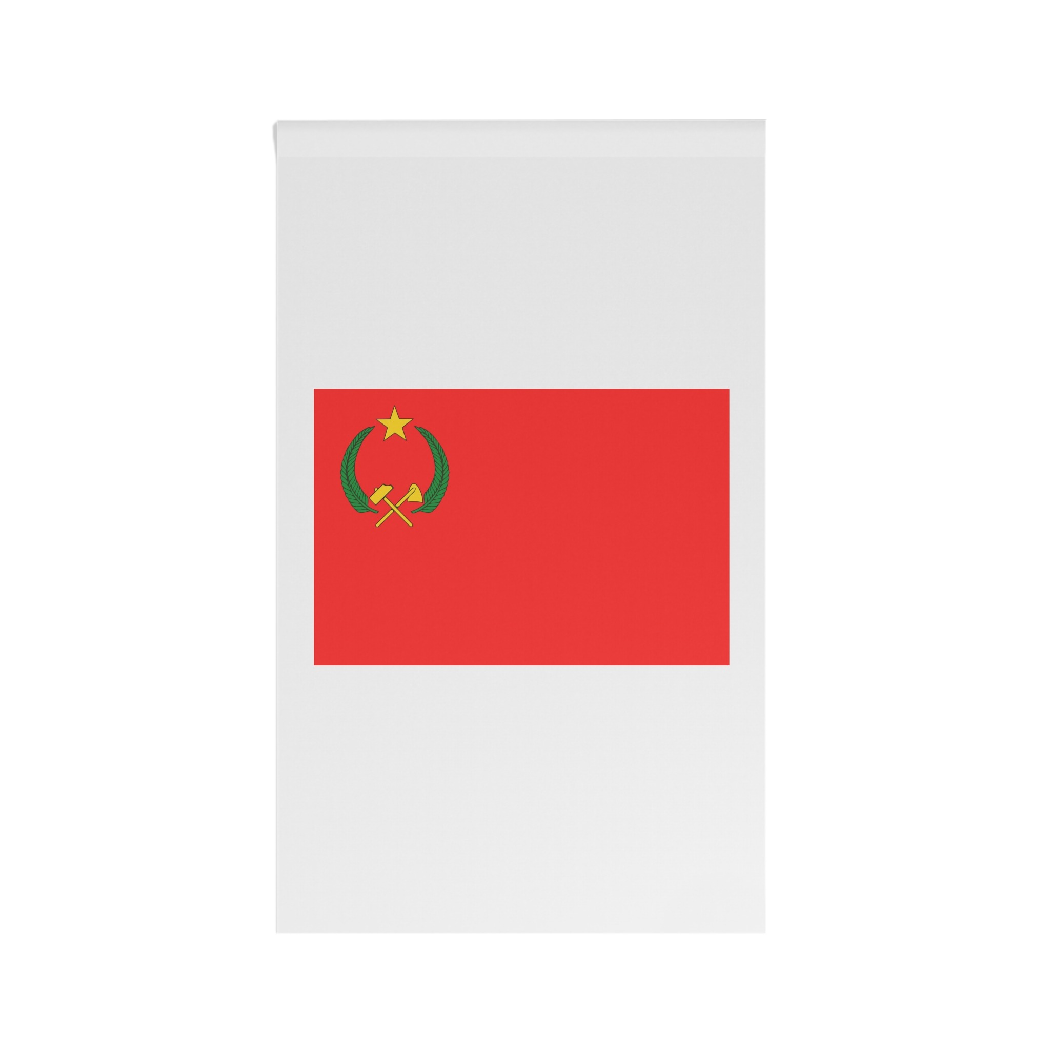 Flag of the People S Republic of the Congo House Banner - Image 2