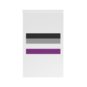 Asexual Pride Flag House Banner