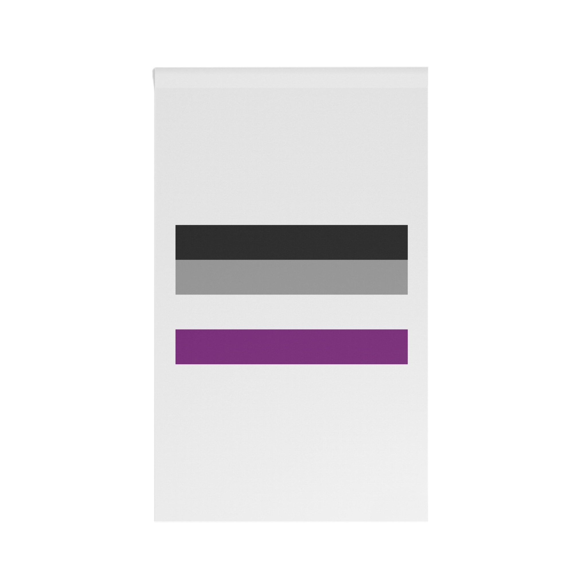 Asexual Pride Flag House Banner