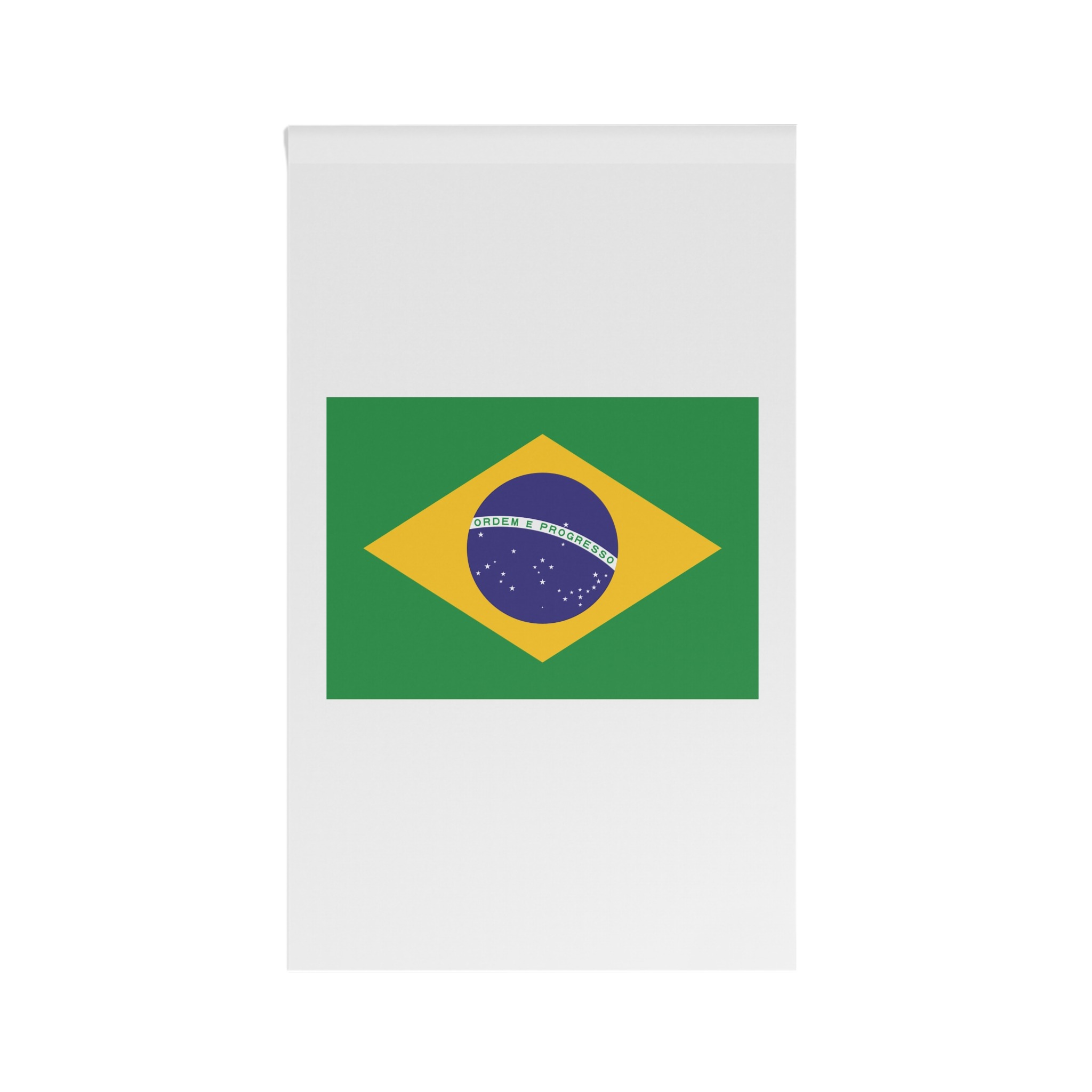 Flag of Brazil House Banner