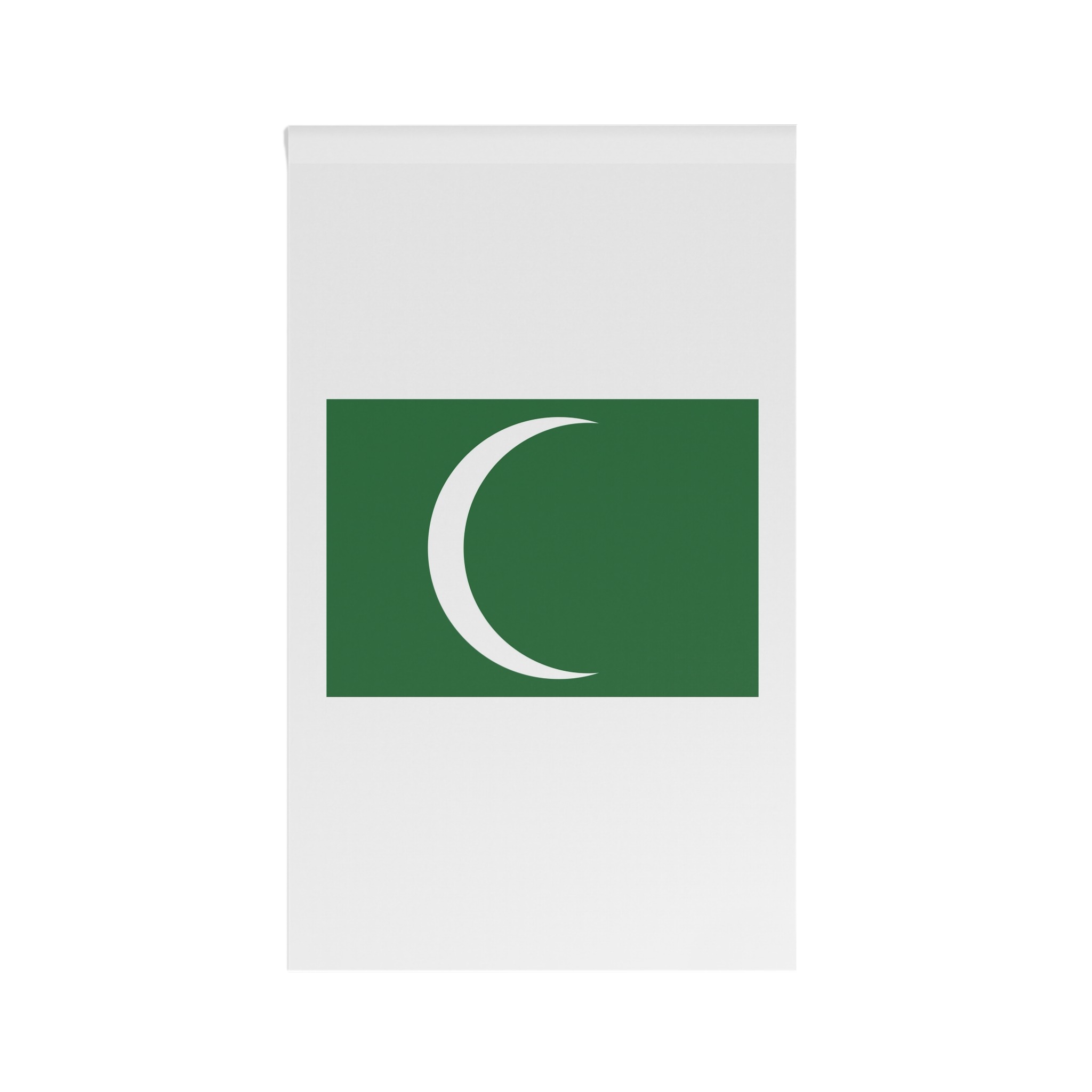 Flag of the First and Second Saudi State House Banner - Image 2