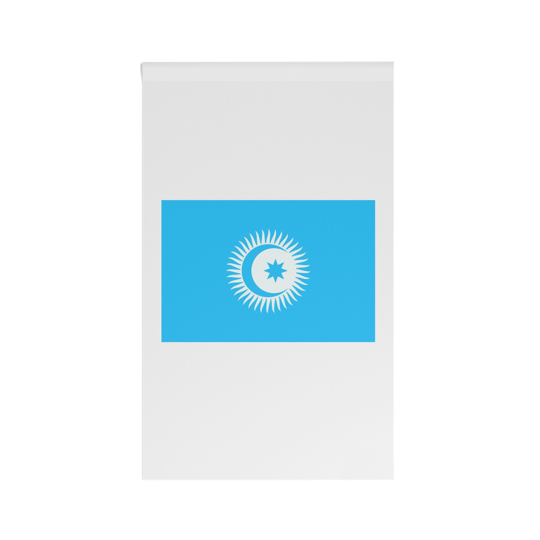 Flag Organization Turkic States House Banner - Image 2