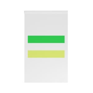 Flag of Chinandega House Banner