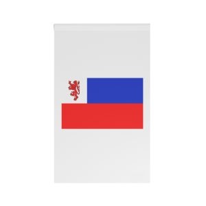 Flag Dzyaldovsky District House Banner