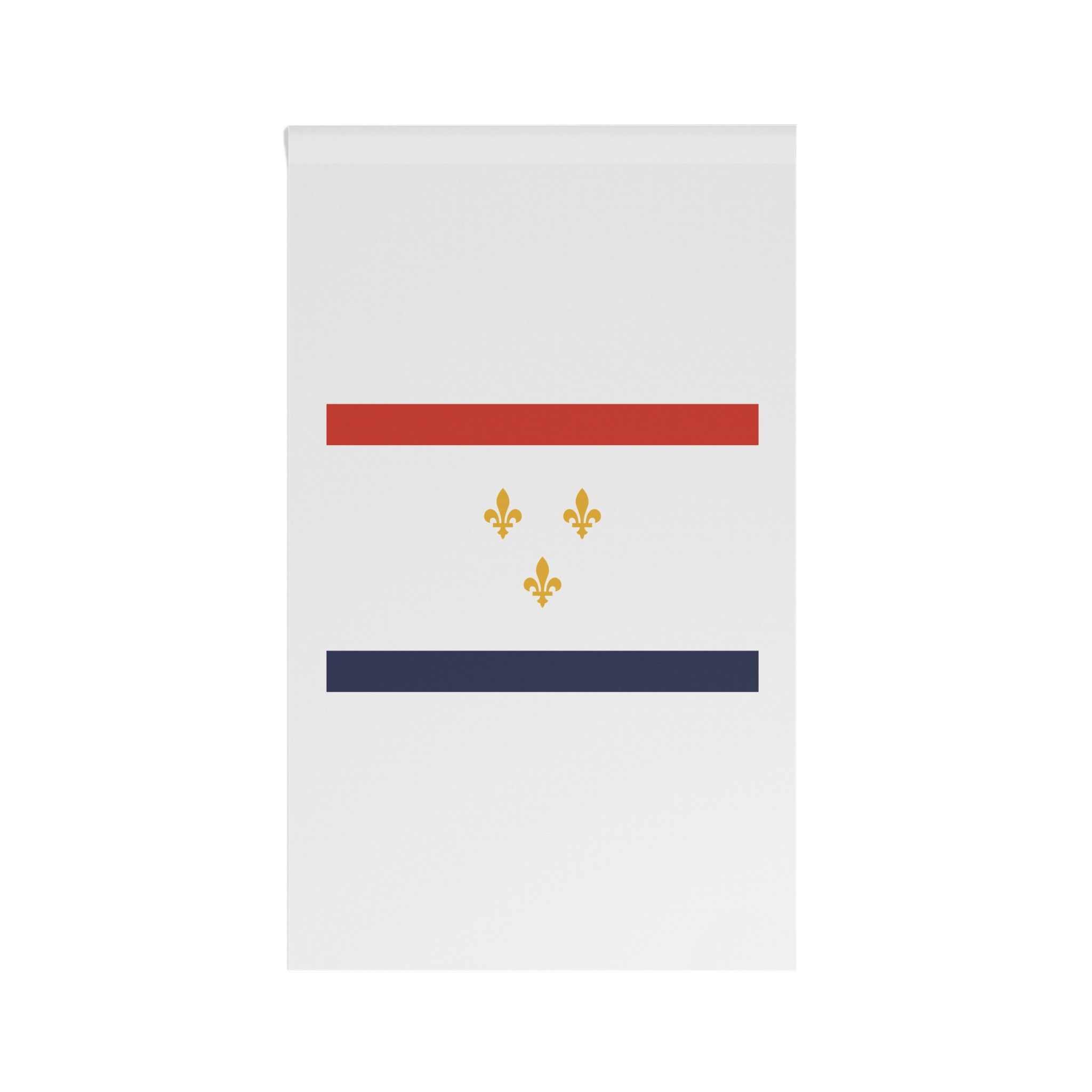 Flag of New Orleans, Louisiana House Banner - Image 2