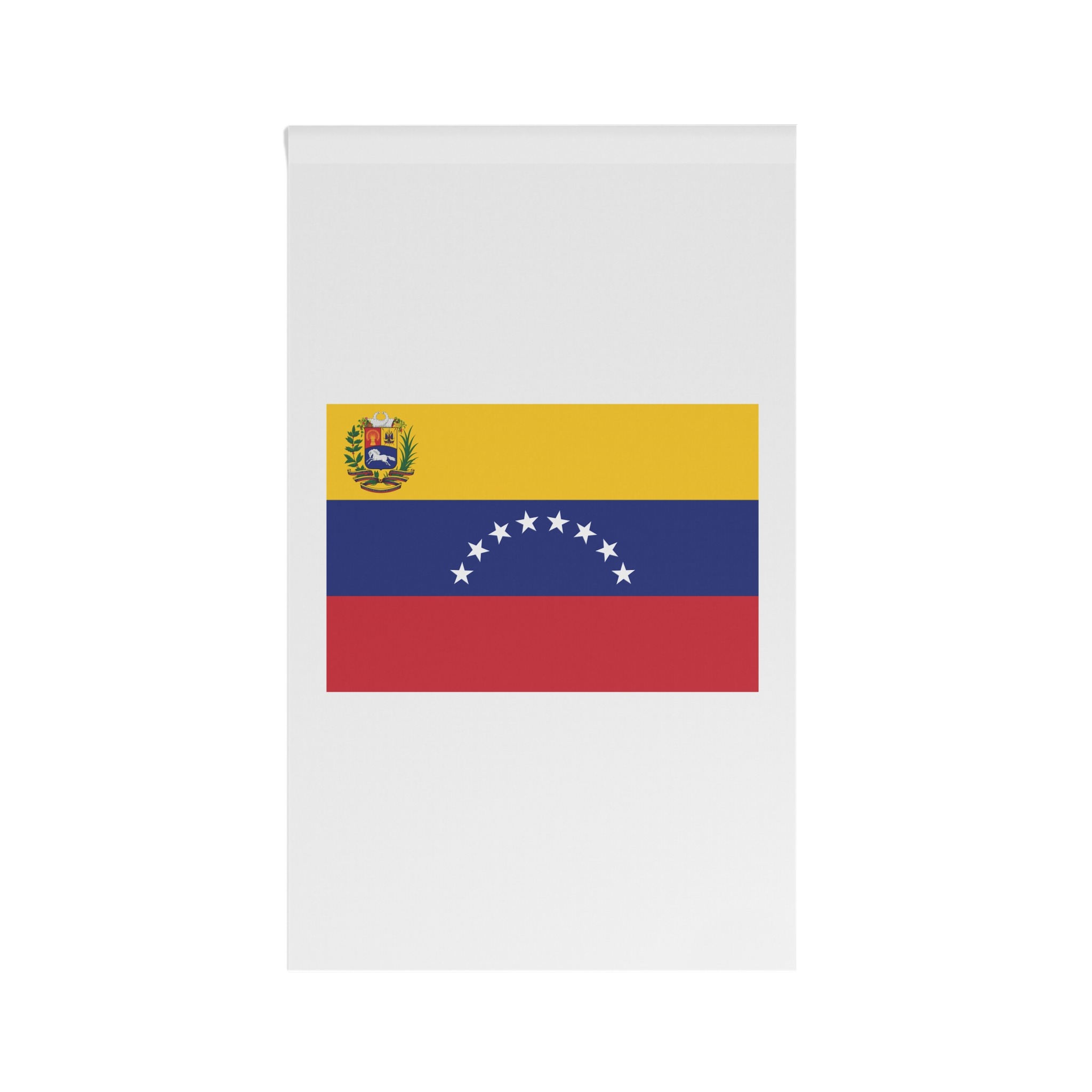 Flag of Venezuela (state) House Banner