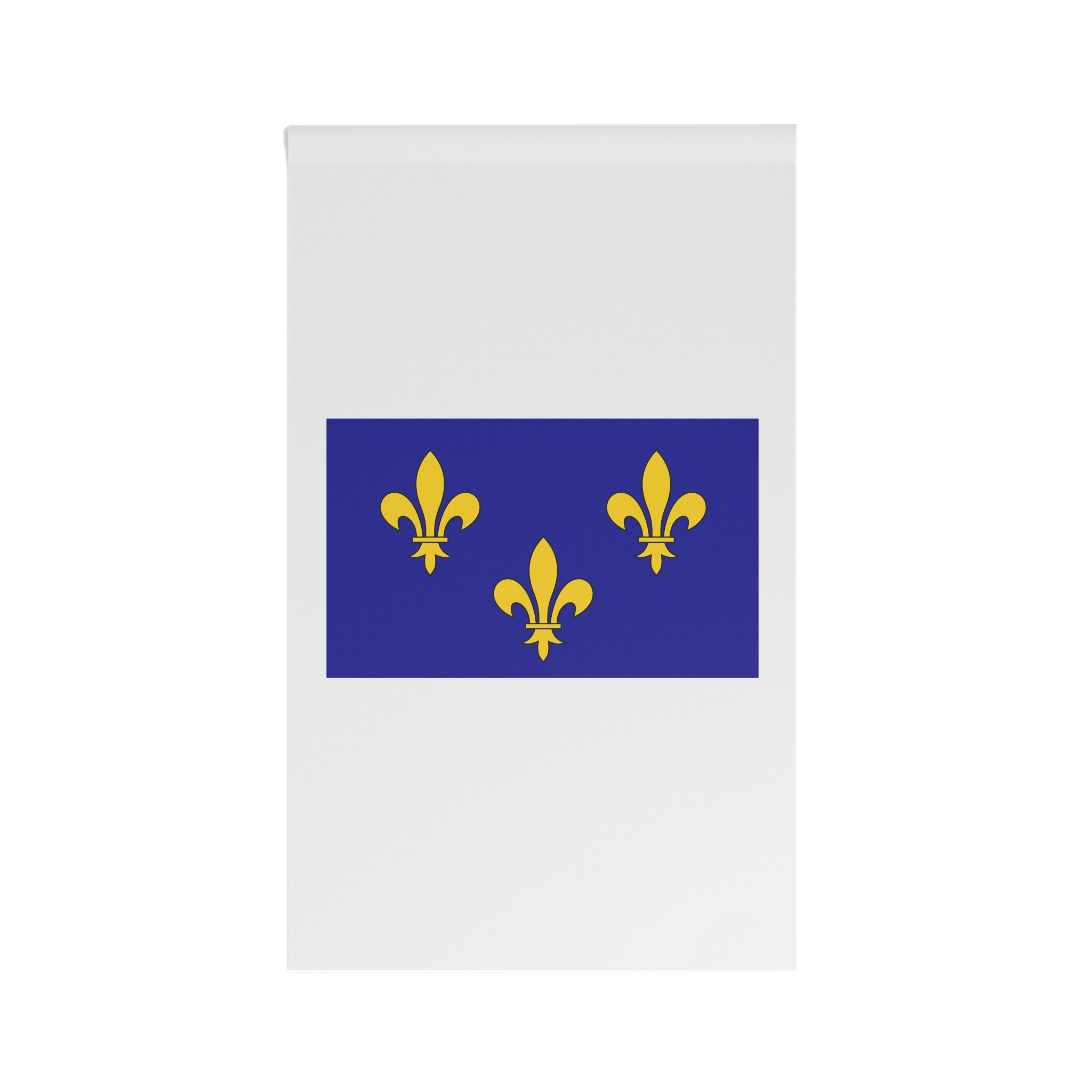 Cultural Flag of Île de France House Banner