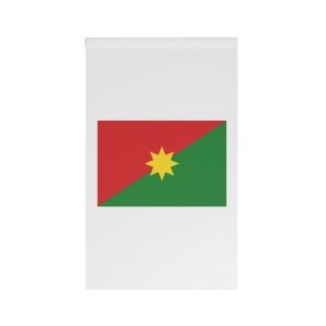 Flag of Casanare House Banner