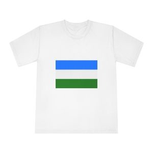 Flag of Boquerón Department Unisex Classic Crewneck T Shirt