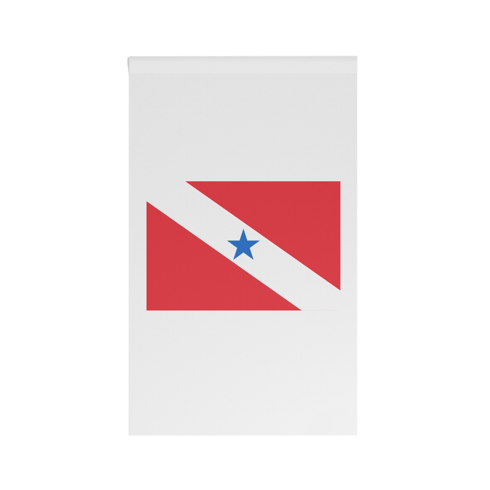 Bandeira Do Pará House Banner - Image 2