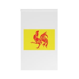 Flag Ofwallonia House Banner