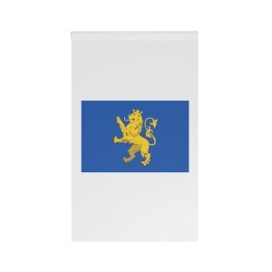 Flag of Lviv Oblast House Banner