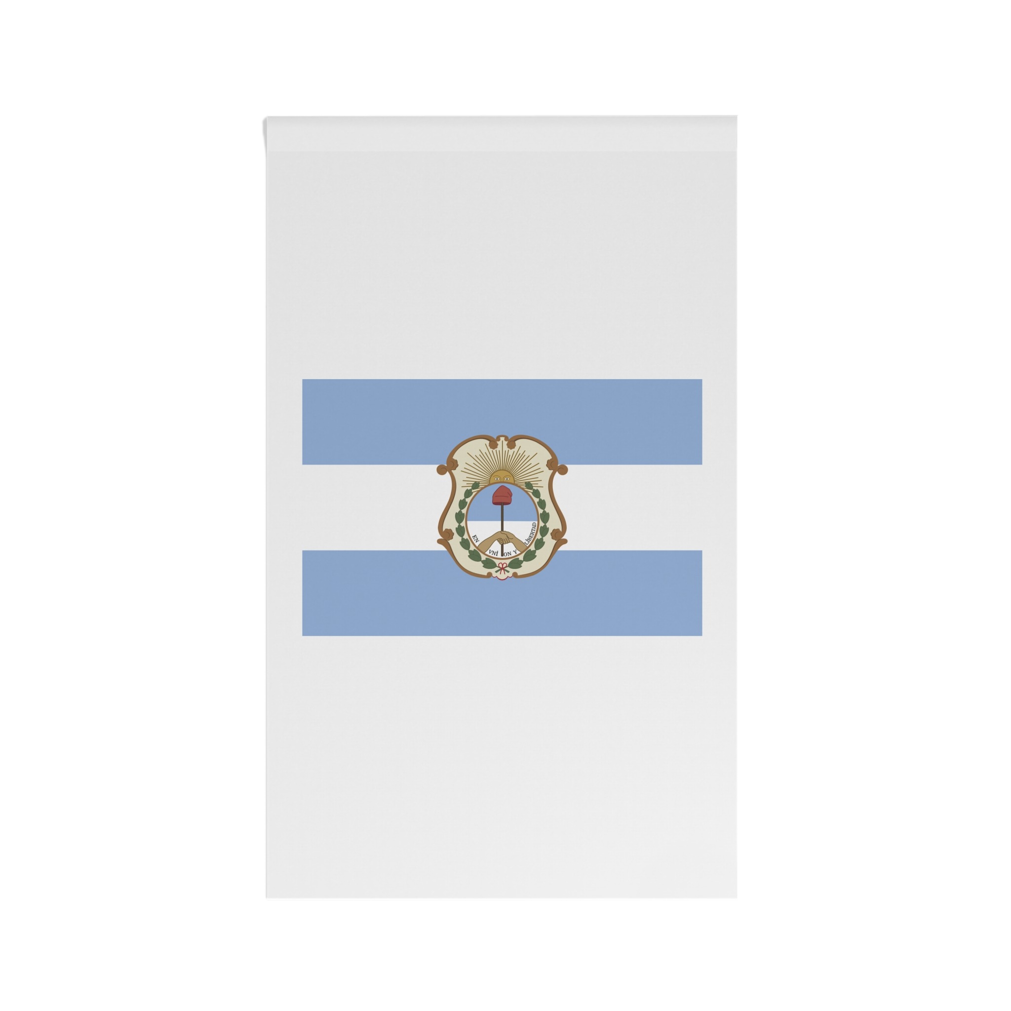 Flag of the San Juan Province House Banner