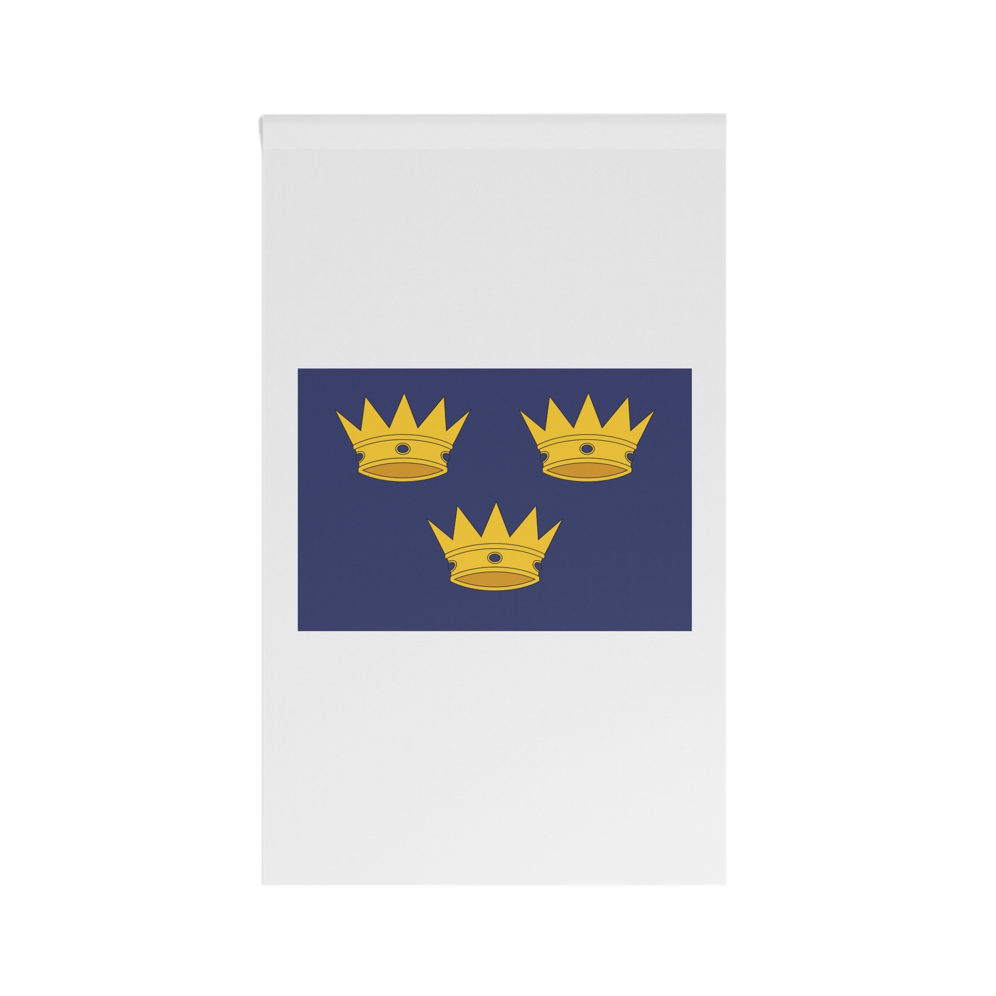 Flag of Munster House Banner