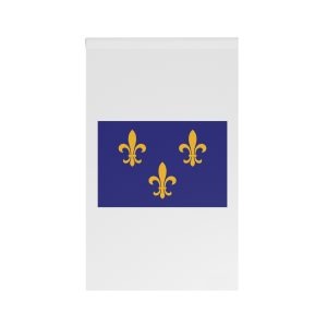 Flag Northern Louisiana Regional Banner Reflecting French Cajun Creole Heritage Southern United Stat House Banner