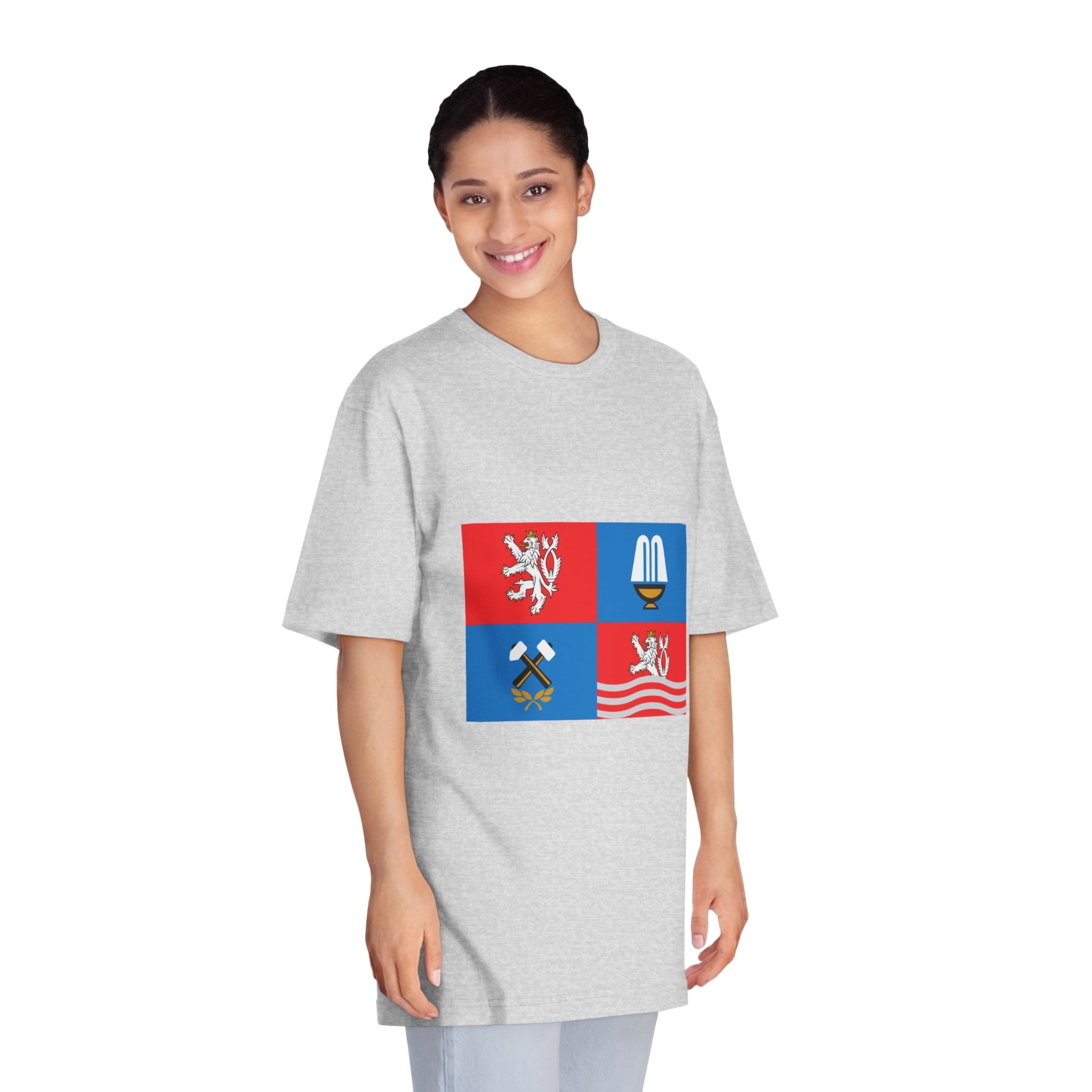 Flag of Karlovy Vary Region Unisex Classic Crewneck T Shirt - Image 15