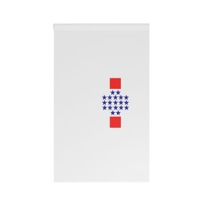 Flag of Central Department, Paraguay House Banner
