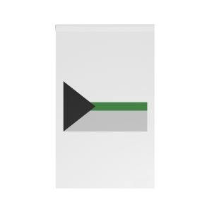Demiromantic Pride Flag House Banner