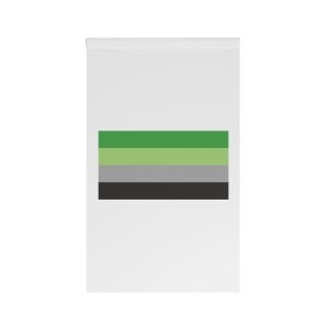 Aromantic Flag House Banner