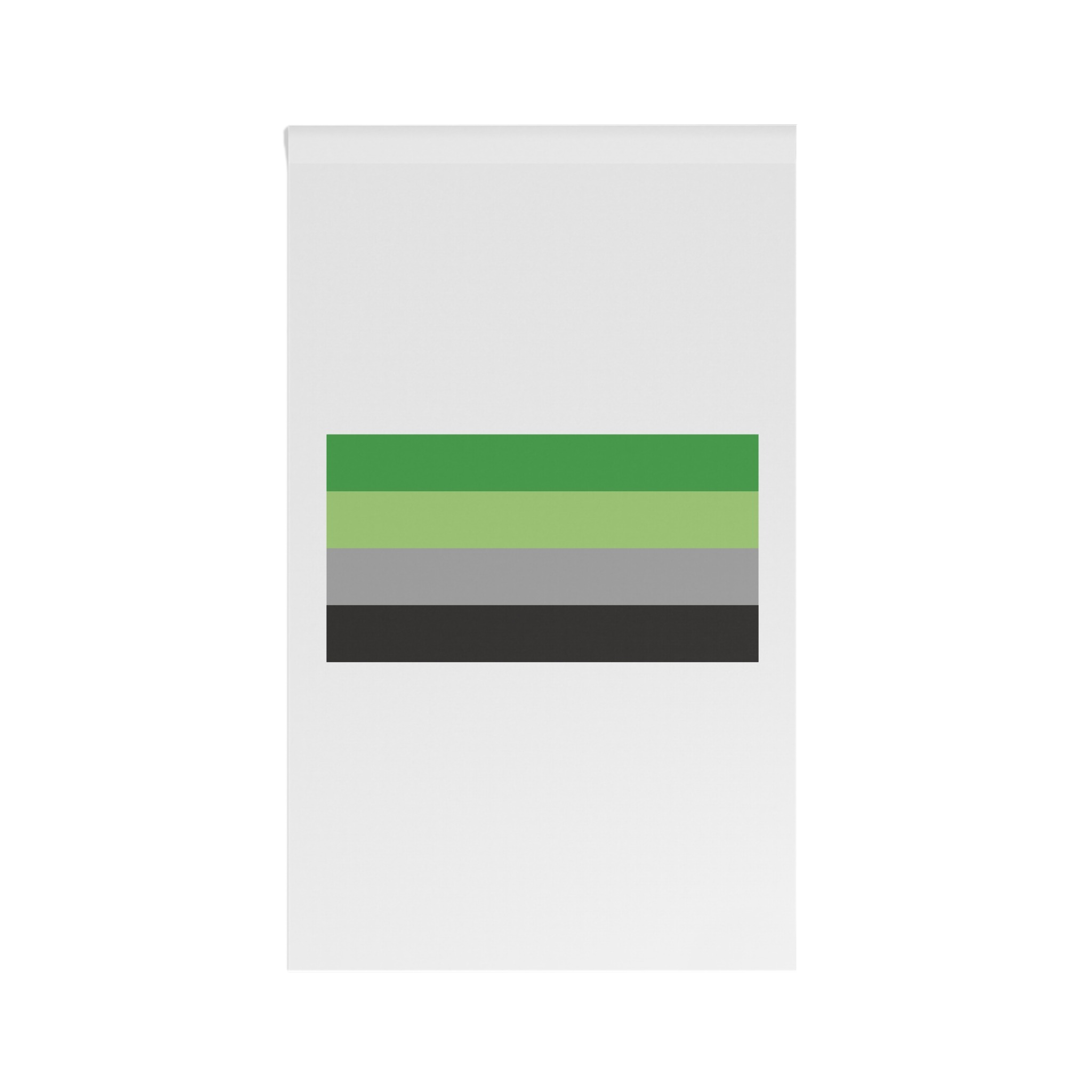 Aromantic Flag House Banner