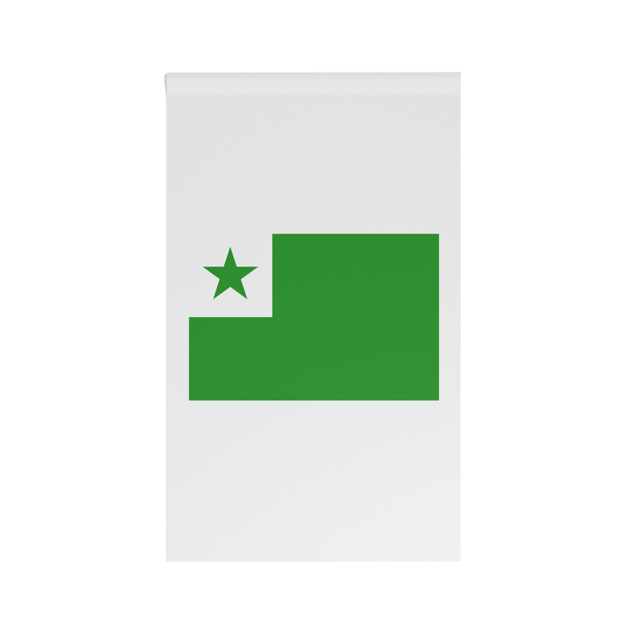 Flag of Esperanto House Banner