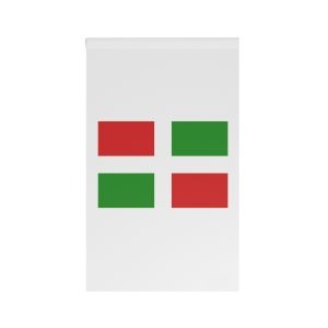 Flag of Paraguarí Department House Banner