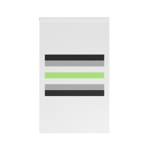 Agender Pride Flag House Banner