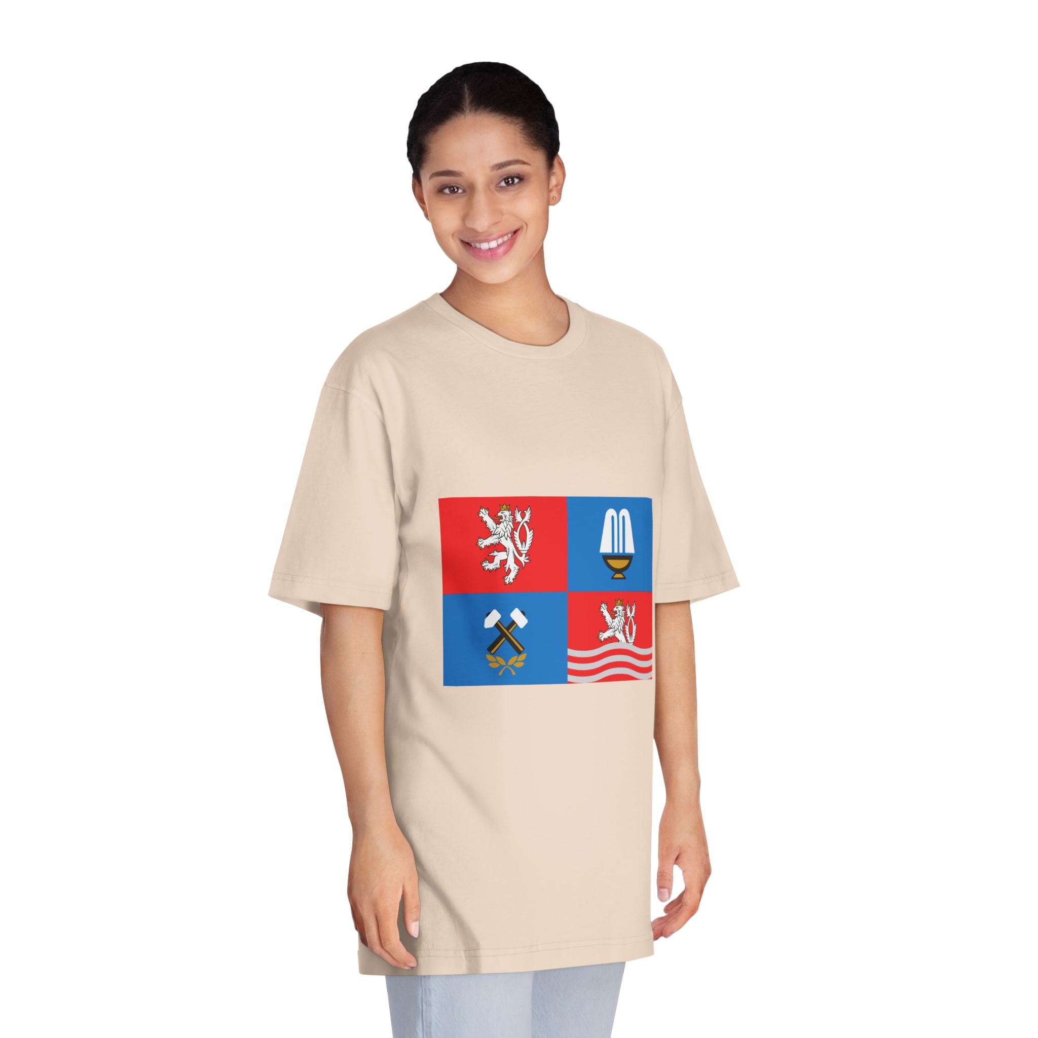 Flag of Karlovy Vary Region Unisex Classic Crewneck T Shirt - Image 11