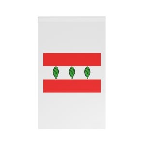 Flag Shtum District House Banner