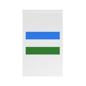 Flag of Boquerón Department House Banner