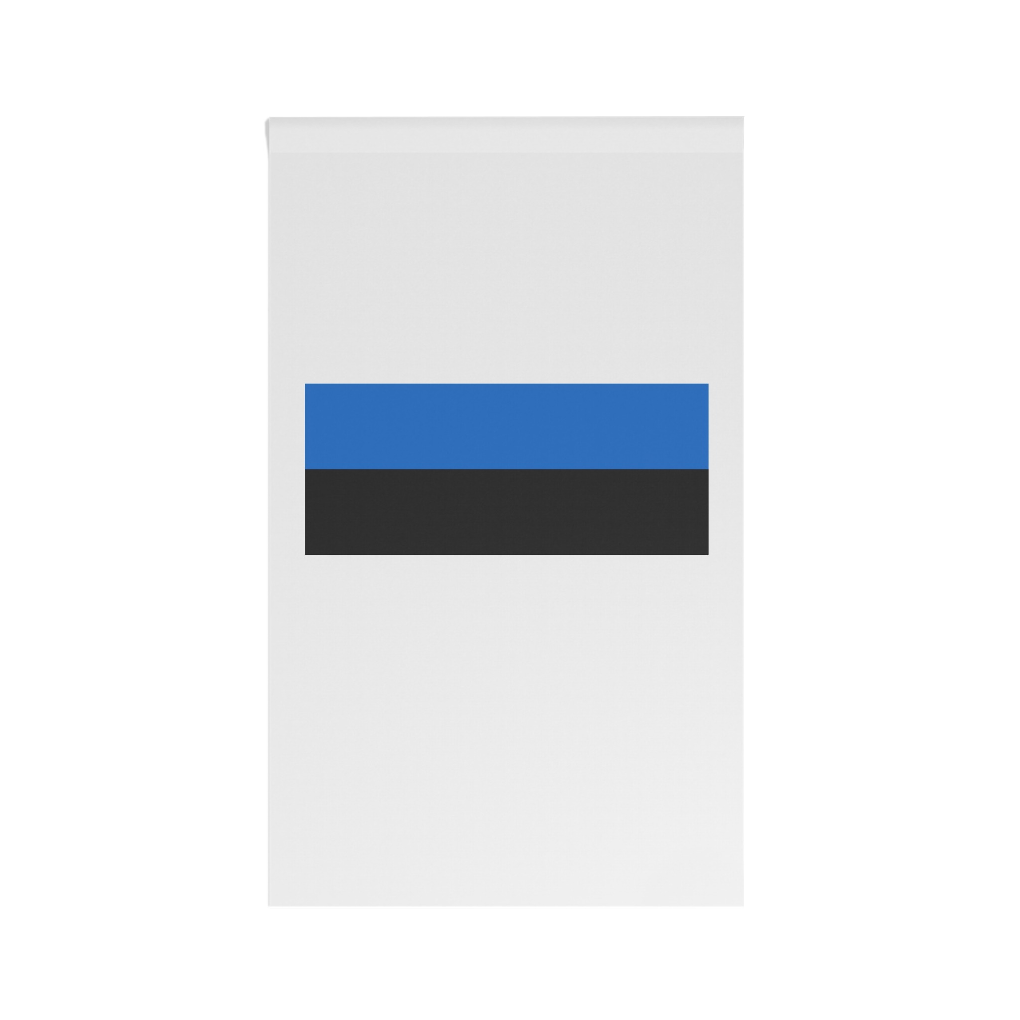 Flag of Estonia House Banner