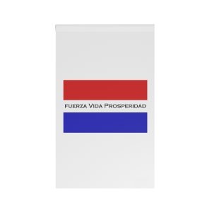 Flag of Alto Paraguay Department House Banner