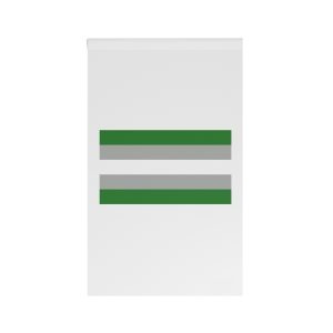 Gray Aromantic Pride Flag House Banner