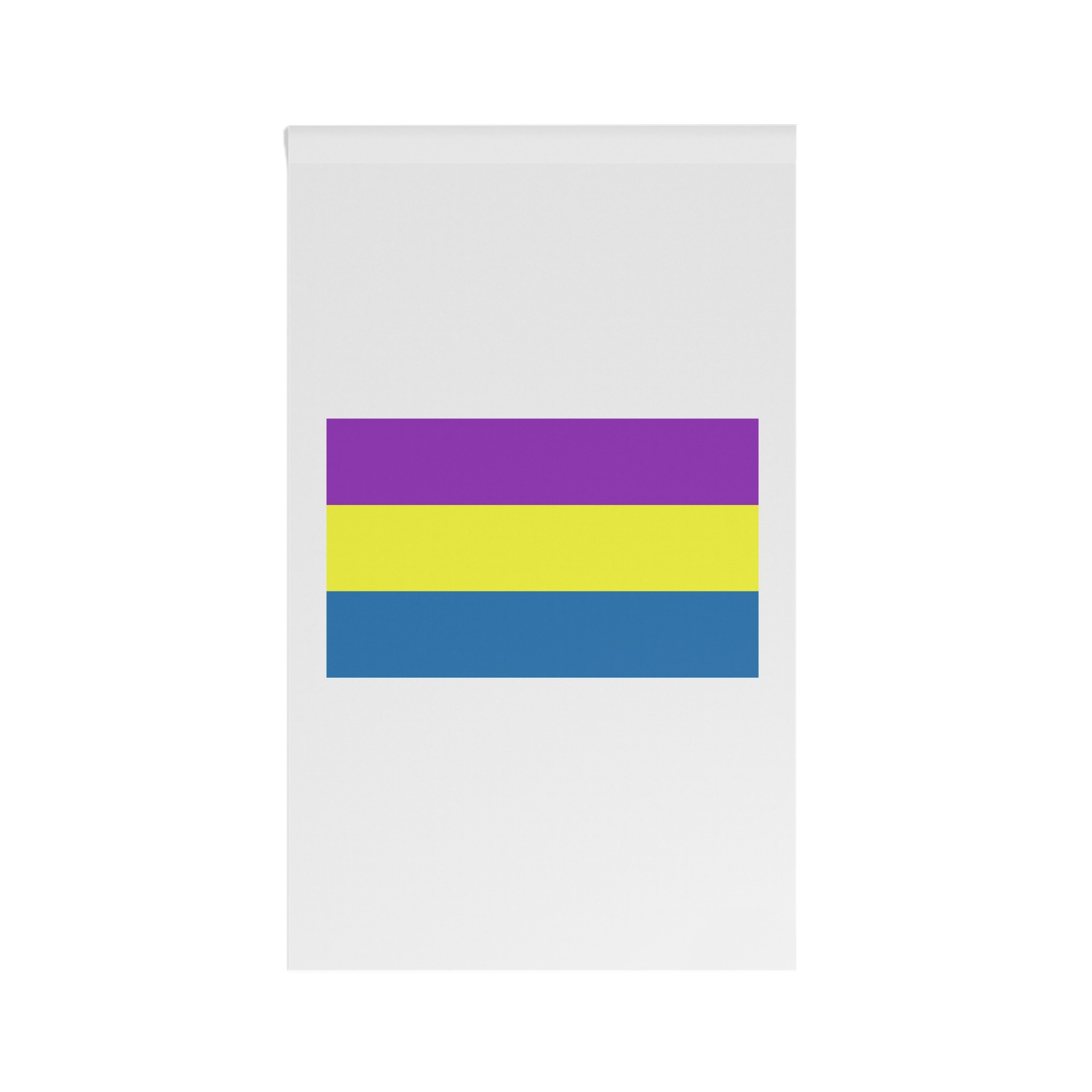 Flag of Jinotepe House Banner