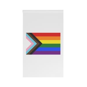 Lgbtq+ Rainbow Flag Quasar Progress Variant House Banner