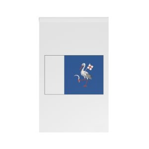 Telenesti Drap House Banner
