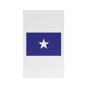 Bonnie Blue Was the First Unofficial Flag of the Confederacy House Banner