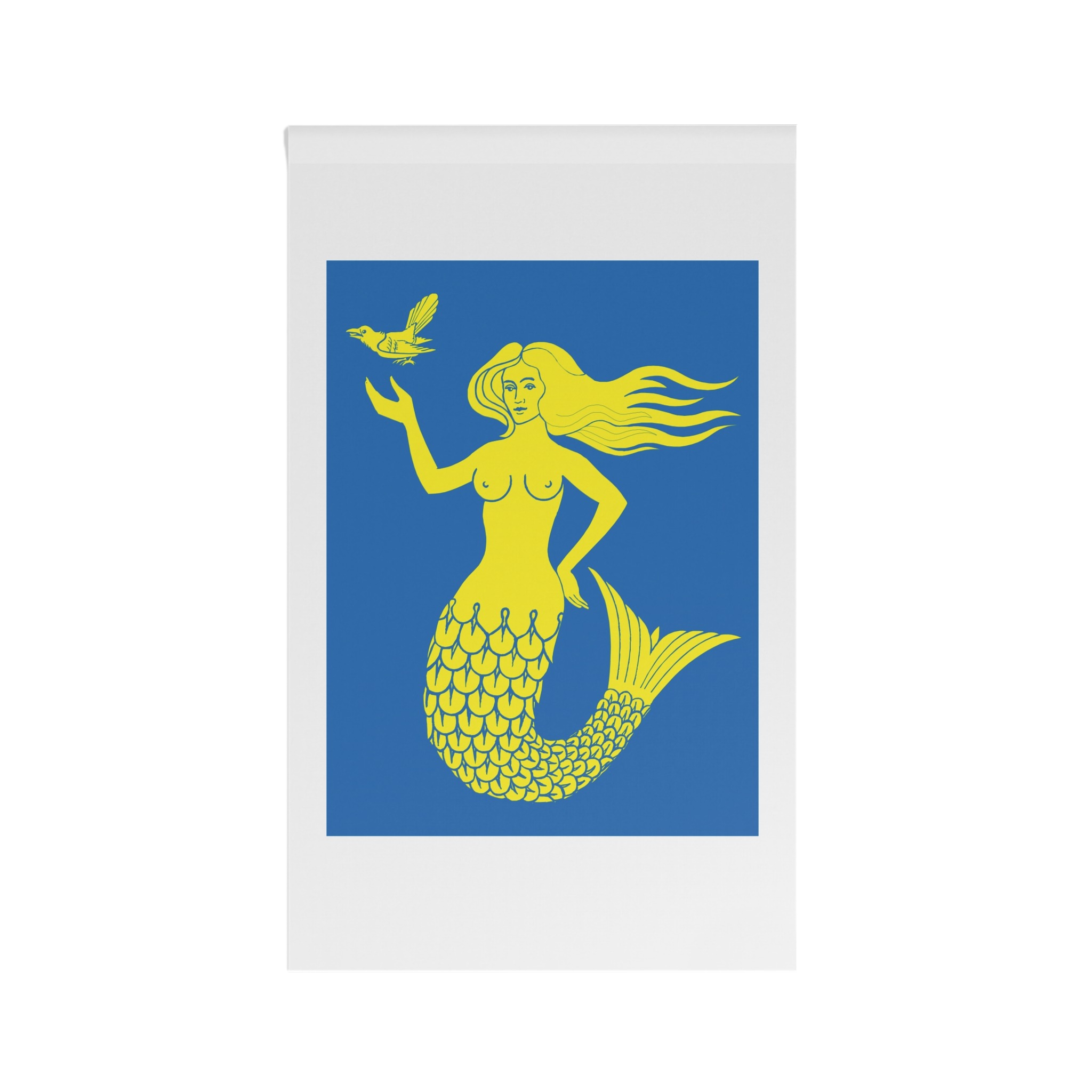 Päijät Häme.lippu House Banner